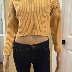 Zara Cropped Ribbed Mock neck Sweater XL